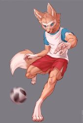 Rule 34 | 1boy, 2018 fifa world cup, ancesra, animal ears, animal hands, animal nose, artist name, ball, barefoot, blue eyes, blue shirt, body fur, brown fur, claws, closed mouth, clothes writing, english text, fox boy, fox ears, fox tail, furry, furry male, grey background, hands up, highres, kicking, leg up, looking at viewer, male focus, motion blur, patreon username, pawpads, red shorts, shirt, short sleeves, shorts, simple background, snout, soccer, soccer ball, soccer uniform, solo, sportswear, standing, standing on one leg, tail, toned, toned male, two-tone fur, v-shaped eyebrows, vest, watermark, web address, white fur, white vest, world cup, zabivaka