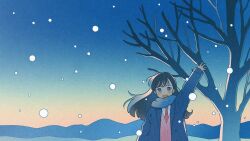 Rule 34 | 1girl, :d, black hair, blue coat, blue eyes, blue scarf, blue sky, blush, coat, collared shirt, commentary request, dawn, dot nose, gradient sky, highres, long hair, long sleeves, looking at viewer, nahara saki, necktie, open clothes, open coat, open mouth, orange sky, original, outdoors, outstretched arm, pink vest, plant, red necktie, scarf, scenery, shirt, sky, smile, snowing, solo, tree, vest, waving, white shirt, wide shot, wind