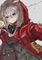 Rule 34 | 1girl, animal ears, arknights, breasts, cleavage, coat, concealed weapon, dagger, fur-trimmed hood, fur trim, grey shirt, hair between eyes, highres, holding, holding weapon, hood, hood up, hooded coat, jacket, knife, long hair, long sleeves, looking at viewer, open clothes, open jacket, parted lips, pouch, projekt red (arknights), red coat, shirt, signature, silver hair, small breasts, solo, upper body, v-shaped eyebrows, vea (v ea ), weapon, wolf ears, yellow eyes
