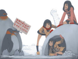 Rule 34 | 3girls, akinbo (hyouka fuyou), bad id, bad pixiv id, bird, black hair, brown eyes, coat, igloo, long hair, looking at another, multiple girls, open mouth, original, penguin, sign, sitting, skirt, snow, snow shelter, translation request