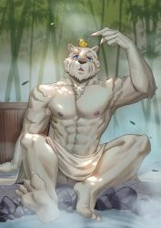Rule 34 | 1boy, abs, animal ears, bamboo, bamboo forest, bara, black pants, blue eyes, claws, crate, forest, frde, full body, furry, furry male, highres, large pectorals, male focus, mercenary (zero kara hajimeru mahou no sho), muscular, naked towel, nature, onsen, outdoors, pants, pectorals, penis, penis peek, rubber duck, solo, tiger, tiger boy, tiger ears, towel, white fur, white hair, zero kara hajimeru mahou no sho