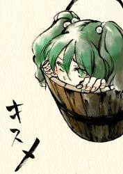 Rule 34 | 1girl, bucket, female focus, green eyes, green hair, in bucket, in container, kisume, shou shishi, solo, touhou, twintails, white background