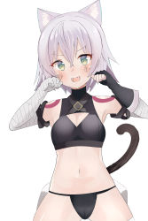 Rule 34 | 1girl, absurdres, animal ears, bandages, bare shoulders, black panties, blush, breasts, cat ears, cat tail, chorome1122, cleavage cutout, clothing cutout, facial scar, fate/apocrypha, fate/grand order, fate (series), fingerless gloves, gloves, green eyes, highres, jack the ripper (fate/apocrypha), looking at viewer, lowleg, lowleg panties, navel, open mouth, panties, scar, scar across eye, scar on cheek, scar on face, short hair, shoulder tattoo, silver hair, small breasts, smile, solo, tail, tattoo, underwear