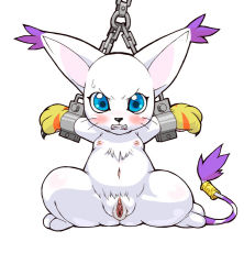 Rule 34 | angry, blue eyes, blush, breasts, cat, chain, digimon, digimon (creature), fangs, furry, navel, nipples, no humans, pussy, simple background, small breasts, solo, spread legs, sweatdrop, tail, tailmon, whiskers
