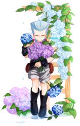 Rule 34 | 1boy, aged down, black footwear, boots, closed eyes, earrings, facing viewer, flattop, flower, freckles, full body, holding, holding flower, hydrangea, jean pierre polnareff, jewelry, jojo no kimyou na bouken, male focus, petals, plant, pouch, puddle, rubber boots, shorts, silver hair, smile, solo, standing, tianel ent, twitter username, water