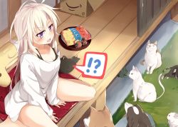 Rule 34 | !?, 1girl, albino, animal, architecture, bad id, bad pixiv id, barefoot, black shorts, blush, box, breasts, cardboard box, cat, cleavage, commentary request, cookie, cushion, dog, east asian architecture, eyebrows, food, from above, grass, long hair, long sleeves, messy hair, mizuki-chan (sasahara wakaba), off shoulder, on floor, open mouth, original, purple eyes, rabbit, rock, sasahara wakaba, shirt, shorts, sitting, sleeping, sliding doors, snack, solo, speech bubble, stuffed animal, stuffed toy, surprised, tray, turtle, wariza, white hair, white shirt, wooden floor