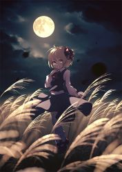 Rule 34 | 1girl, arm up, ascot, black skirt, black vest, blonde hair, blurry, bobby socks, cloud, cloudy sky, depth of field, dise (psychoro), finger to mouth, full moon, hair ribbon, head tilt, highres, leg lift, long sleeves, looking at viewer, mary janes, moon, night, outdoors, red ascot, red eyes, red footwear, ribbon, rumia, scenery, shirt, shoes, short hair, skirt, sky, socks, solo, standing, standing on one leg, susuki grass, touhou, vest, white shirt, white socks, wind, wind lift