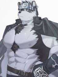 Rule 34 | 1boy, abs, ainu clothes, bara, bare pectorals, belt, chest tuft, frown, furry, furry male, gakuran, grey fur, hand on own hip, headband, highres, horkeu kamui, large pectorals, looking at viewer, male focus, muscular, muscular male, navel, nipples, pectorals, school uniform, simple background, solo, three quarter view, tokyo houkago summoners, two-tone fur, upper body, vambraces, wanijima, white background, wolf boy