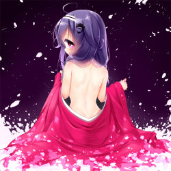 Rule 34 | 10s, 1girl, ahoge, back, back focus, bare back, blush, covering own mouth, floral print, from behind, hair ornament, hair over shoulder, hairband, japanese clothes, kantai collection, kimono, long hair, looking at viewer, looking back, messy hair, minami (apricot tea), off shoulder, petals, pink eyes, profile, purple hair, ryuuhou (kancolle), sitting, solo, taigei (kancolle)