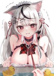 Rule 34 | 2girls, @ @, animal ear fluff, animal ears, bare shoulders, bathtub, bow, bowtie, braid, breasts, cat ears, cat tail, cleavage, collar, collarbone, commentary request, earclip, earrings, fang, grey hair, hair ribbon, heart, highres, hololive, jewelry, kemonomimi mode, large breasts, leash, long hair, looking at viewer, maid headdress, mimiquilike, multicolored hair, multiple girls, nail polish, parted lips, plaid, plaid bow, plaid bowtie, pov, pov hands, red eyes, red nails, red ribbon, ribbon, rubber duck, sakamata chloe, simple background, single braid, skin fang, solo focus, streaked hair, tail, tail raised, upper body, very long hair, viewer holding leash, virtual youtuber, water, wavy mouth, white background