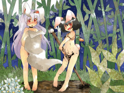 Rule 34 | 2girls, animal ears, bad id, bad pixiv id, bamboo, bamboo forest, barefoot, black hair, blush, calligraphy brush, carrot, carrot necklace, censored, female focus, forest, grass, hammer (sunset beach), inaba tewi, jewelry, long hair, multiple girls, nature, necklace, nude, outdoors, paintbrush, paper, pendant, purple hair, rabbit ears, rabbit girl, rabbit tail, red eyes, reisen udongein inaba, short hair, tail, toes, touhou, zenra
