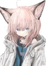 Rule 34 | 1girl, :o, ahoge, animal ear fluff, animal ears, arknights, bad id, bad twitter id, black choker, blue dress, blue eyes, blush, choker, commentary request, dress, fox ears, hair between eyes, highres, hood, hood down, hooded jacket, jacket, looking at viewer, material growth, oripathy lesion (arknights), parted lips, piennamekuzi, pink hair, simple background, solo, sussurro (arknights), upper body, white background, white jacket