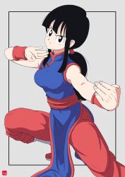 Rule 34 | 1girl, absurdres, black eyes, black hair, chi-chi (dragon ball), chinese clothes, chris re5, dragon ball, dragon ball (classic), fighting stance, hair tubes, highres, low ponytail, pelvic curtain, serious, sidelocks, signature, solo, wristband