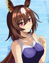 Rule 34 | 1girl, animal ears, bare shoulders, blue one-piece swimsuit, blush, breasts, closed mouth, commentary request, ear ornament, highres, horse ears, horse girl, large breasts, long hair, masasim, multicolored hair, one-piece swimsuit, pool, red eyes, sirius symboli (umamusume), solo, streaked hair, swimsuit, umamusume, upper body, very long hair, white hair
