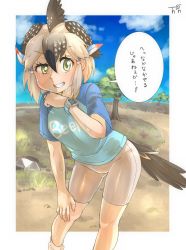 Rule 34 | 1girl, arm support, artist logo, bare arms, bike shorts, bird tail, bird wings, black hair, clothes writing, commentary request, day, greater roadrunner (kemono friends), green eyes, grey hair, grin, hair between eyes, hair ornament, hair tubes, half-closed eye, hand on own chin, hand on own knee, hand up, head wings, highres, kemono friends, kemono friends 2, leaning forward, looking at viewer, medium hair, multicolored hair, outdoors, shirt, short sleeves, shorts, sidelocks, smile, solo, speech bubble, standing, star (symbol), sweat, tail, thin (suzuneya), translation request, wings