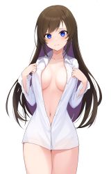 Rule 34 | 1girl, blouse, blue eyes, breasts, breasts apart, brown hair, closed mouth, collarbone, cowboy shot, dress shirt, hands up, highres, large breasts, long hair, long sleeves, looking at viewer, naked shirt, navel, nishino eri, open clothes, open shirt, original, partially unbuttoned, shirt, simple background, solo, thighs, white background, white shirt