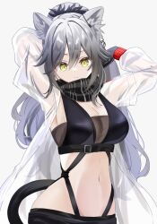 Rule 34 | 1girl, animal ears, arknights, arms up, black scarf, breasts, cat ears, cat tail, cleavage, commentary request, crop top, grey background, grey hair, hair between eyes, highres, large breasts, long hair, looking at viewer, midriff, navel, nishimiya aki, scarf, schwarz (arknights), simple background, solo, stomach, tail, upper body, very long hair, yellow eyes