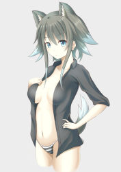 Rule 34 | 1girl, animal ears, bad id, bad pixiv id, black shirt, blue eyes, breasts, dress shirt, grey hair, multicolored hair, open clothes, open shirt, original, panties, shirt, sidelocks, solo, striped clothes, striped panties, tail, two-tone hair, underwear, white hair, zukky