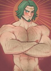 Rule 34 | 1boy, abs, artist name, bara, biceps, blush, crossed arms, diadem, f con, feet out of frame, fire emblem, fire emblem: three houses, green eyes, green hair, hairy, highres, large pectorals, male focus, manly, mature male, muscular, muscular male, nintendo, nipples, one eye closed, pectorals, scar, seteth (fire emblem), short hair, signature, simple background, solo, sun, sweat, sweatdrop, thick arms, thick eyebrows, upper body, veins, very hairy