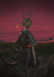 Rule 34 | 1girl, absurdres, antlers, arms at sides, blonde hair, blue skirt, chinese commentary, cowboy shot, dragon tail, facing away, field, floating hair, from behind, green shirt, highres, horns, kicchou yachie, outdoors, red sky, shirt, short hair, skirt, sky, solo, tail, touhou, turtle shell, wb yimo