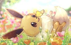 Rule 34 | blurry, blurry background, brown eyes, brown fur, bug, butterfly, butterfly on nose, creatures (company), eevee, flower, fluffy, game freak, gen 1 pokemon, insect, kachin, light rays, lying, nintendo, on back, on grass, on ground, open mouth, outdoors, pokemon, pokemon (creature), smile, tulip, yellow butterfly