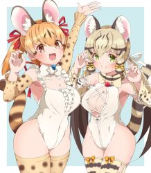 Rule 34 | 2girls, animal ears, blue background, bow, bowtie, brown eyes, brown hair, cat ears, cat girl, cat tail, drias, elbow gloves, extra ears, geoffroy&#039;s cat (kemono friends), gloves, green eyes, grey hair, highres, kemono friends, kemono friends v project, kneehighs, large-spotted genet (kemono friends), leotard, long hair, looking at viewer, microphone, multiple girls, ribbon, simple background, socks, tail, twintails, virtual youtuber