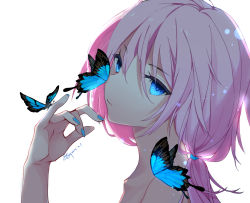 Rule 34 | 1girl, arknights, bare shoulders, blue eyes, blue hair, blue poison (arknights), bow, bug, butterfly, closed mouth, collarbone, from side, hair between eyes, hair bow, hand up, highres, insect, long hair, looking at viewer, looking to the side, nid417, ponytail, portrait, sidelocks, signature, solo, white background