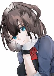 Rule 34 | 1girl, arm support, blue eyes, blue jacket, brown hair, closed mouth, flower, gloves, head rest, head tilt, highres, jacket, kantai collection, looking at viewer, medium hair, neck flower, neko (ganecooo), ponytail, red flower, red rose, rose, sheffield (kancolle), short ponytail, simple background, solo, white background, white gloves