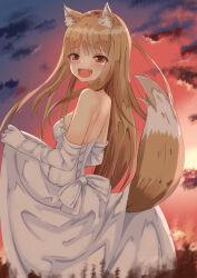 Rule 34 | 1girl, :d, alternate costume, animal ear fluff, animal ears, back, back bow, backboob, bare shoulders, blunt bangs, blush, bow, breasts, brown hair, commentary, cowboy shot, dress, elbow gloves, fang, floating hair, from side, gloves, hand up, happy, highres, holo, kasumasu (tales75), long dress, long hair, looking at viewer, open mouth, outdoors, red eyes, red sky, skirt hold, sky, small breasts, smile, solo, spice and wolf, straight hair, strapless, strapless dress, sunset, tail, tail raised, tears, teeth, tsurime, very long hair, wedding dress, white bow, white dress, white gloves, wolf ears, wolf girl, wolf tail