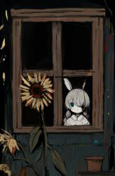 Rule 34 | 1girl, animal ears, bottle, child, commentary, flower, green eyes, grey hair, highres, long hair, looking at viewer, looking outside, original, shirokujira, solo, sunflower, symbol-only commentary, tagme, window, wine bottle, yellow flower