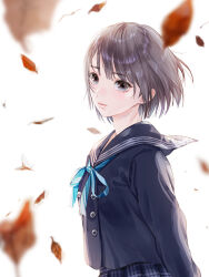 1girl autumn_leaves black_hair black_shirt blue_eyes blue_reflection_(series) blue_reflection_maboroshi_ni_mau_shoujo_no_ken blue_ribbon blurry blurry_foreground closed_mouth commentary_request expressionless from_side hoshinomiya_girls&#039;_high_school_uniform kishida_mel long_sleeves looking_at_viewer neck_ribbon official_art ribbon school_uniform second-party_source serafuku shirai_hinako shirt short_hair solo upper_body white_background