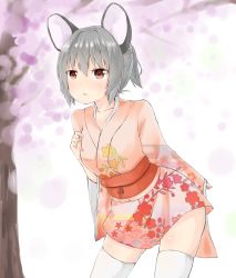 Rule 34 | 1girl, absurdres, alternate costume, alternate hairstyle, animal ears, blush, brown eyes, cherry blossoms, collarbone, cowboy shot, floral print, grey hair, hair between eyes, heart, heart-shaped pupils, highres, japanese clothes, kimono, leaning forward, long sleeves, mouse ears, nazrin, netamaru, obi, parted lips, ponytail, sash, short hair, short kimono, solo, symbol-shaped pupils, thighhighs, touhou, white thighhighs, wide sleeves