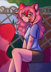 Rule 34 | 1girl, animal ears, blue shirt, blush, closed mouth, hair between eyes, highres, looking at viewer, mellowmutual, non-web source, original, outdoors, pink hair, raccoon, raccoon ears, raccoon girl, raccoon tail, self-upload, shirt, simple background, tail, yellow eyes