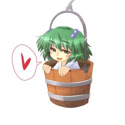 Rule 34 | 1girl, bucket, female focus, green eyes, hair bobbles, hair ornament, highres, in bucket, in container, kato (artist), kato (mogumoguokome), kisume, naughty face, short hair, solo, touhou, twintails
