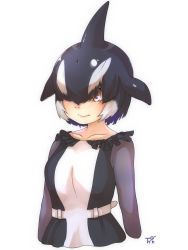 Rule 34 | 1girl, arms at sides, artist logo, belt, black hair, blowhole, brown eyes, closed mouth, collarbone, cropped arms, cropped torso, dorsal fin, dress, fins, frills, grey hair, hair over one eye, head fins, highres, kemono friends, long sleeves, multicolored hair, orca (kemono friends), parted bangs, purple hair, short hair, simple background, smile, solo, thin (suzuneya), upper body, white background