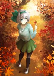Rule 34 | 1girl, alternate costume, autumn, autumn leaves, black pantyhose, blue eyes, breasts, contemporary, contrapposto, cross-laced footwear, dappled sunlight, day, foreshortening, forest, from above, full body, green ribbon, green skirt, hair ribbon, holding, holding leaf, jacket, konpaku youmu, kz nagomiya, leaf, long sleeves, looking to the side, maple leaf, nature, outdoors, pantyhose, ribbon, shadow, shirt, shoes, short hair, silver hair, skirt, small breasts, smile, sneakers, solo, standing, sunlight, sweater jacket, touhou, white shirt