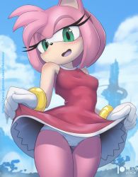 Rule 34 | 1girl, amy rose, blush, cameltoe, clothes lift, dress, dress lift, furry, furry female, green eyes, highres, looking at viewer, panties, patreon username, rilex lenov, sega, solo, sonic (series), sonic (series), underwear, upskirt