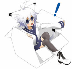 Rule 34 | !, ahoge, animal ears, ankle boots, black socks, blue eyes, boots, box, cat ears, cat tail, cross-laced footwear, in box, in container, kneehighs, lace-up boots, necktie, open mouth, original, school uniform, serafuku, silver hair, simple background, socks, solo, tail, takano saki, thighhighs