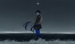 Rule 34 | 1boy, black headwear, black jacket, blue hair, blue pantyhose, braid, brown hair, buttons, captain nemo (fate), closed mouth, double-breasted, epaulettes, expressionless, fate/grand order, fate (series), floating hair, from side, gradient hair, grey eyes, grey sky, hat feather, highres, horizon, jacket, long hair, long sleeves, looking at viewer, low twin braids, male focus, mihanada (73 wv), multicolored hair, nemo (fate), outdoors, pantyhose, sea spray, sidelocks, sky, sleeves past fingers, sleeves past wrists, solo, star (sky), turban, twin braids, very long hair, wading, wide shot