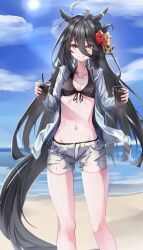 Rule 34 | 1girl, absurdres, ahoge, animal ears, beach, bikini, black bikini, black hair, blue sky, breasts, cleavage, cloud, cloudy sky, commentary request, cup, disposable cup, drink, drinking straw, earrings, feet out of frame, flower, front-tie bikini top, front-tie top, hair between eyes, hair flower, hair ornament, hibiscus, highres, holding, holding cup, horse ears, horse girl, horse tail, jacket, jewelry, long hair, long sleeves, looking at viewer, manhattan cafe (umamusume), multicolored hair, navel, ocean, open clothes, open jacket, outdoors, pandoa (mikage0495), sand, shorts, single earring, sky, small breasts, smile, solo, streaked hair, swimsuit, tail, umamusume, very long hair, water, white hair, white jacket, white shorts, yellow eyes
