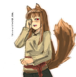 Rule 34 | 00s, 1girl, animal ears, check translation, holo, red eyes, red hair, sketch, solo, spice and wolf, tail, tetsu (kimuchi), translation request, wolf ears, wolf tail