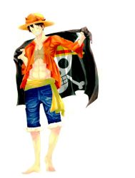 Rule 34 | 1boy, artist request, bad id, bad pixiv id, crown, flag, hat, holding, holding flag, jolly roger, male focus, monkey d. luffy, one piece, open clothes, open shirt, pirate, red shirt, scar, shirt, smile, solo, standing, straw hat