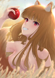 Rule 34 | 1girl, animal ear fluff, animal ears, apple, blush, breasts, brown hair, completely nude, covered erect nipples, dot nose, food, fruit, hair over shoulder, happy, highres, holding, holding food, holding fruit, holo, light brown hair, long hair, looking at viewer, medium breasts, newovermind, nude, open mouth, outdoors, red eyes, smile, solo, spice and wolf, straight hair, tail, teeth, very long hair, wheat, wheat field, wolf ears, wolf girl, wolf tail