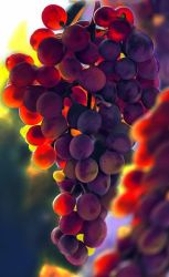 Rule 34 | bad id, bad twitter id, blurry, blurry background, commentary, day, depth of field, english commentary, food, food focus, fruit, grapes, no humans, original, outdoors, photo-referenced, skirtsan, still life, sunlight