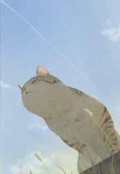 Rule 34 | animal, animal focus, blue sky, cat, closed eyes, closed mouth, cloud, contrail, day, grass, highres, kusamie, no humans, original, outdoors, sky, traditional media, whiskers