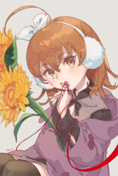 Rule 34 | 1girl, ahoge, black shirt, black thighhighs, bow, brown eyes, brown hair, child, clothing cutout, coat, cowboy shot, earmuffs, finger to mouth, flower, grey background, hair bow, hairband, holding, holding flower, holding ribbon, last order (toaru majutsu no index), long sleeves, looking at viewer, miniskirt, official alternate costume, purple coat, red ribbon, ribbon, see-through, shirt, short hair, signature, sitting, skirt, solo, sunflower, tautiki, thighhighs, toaru majutsu no index, toaru majutsu no index: genesis testament, upper body, white hairband