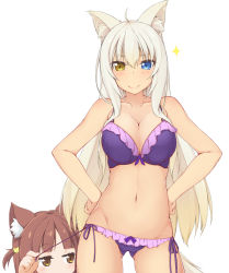 Rule 34 | 2girls, age difference, ahoge, animal ear fluff, animal ears, azuki (nekopara), bare arms, bare shoulders, blue eyes, blush, bow, bow bra, bow panties, bra, breasts, brown eyes, brown hair, cat ears, cat girl, cat hair ornament, cat tail, cleavage, closed mouth, coconut (nekopara), commentary request, dark-skinned female, dark skin, frilled panties, frills, grey hair, groin, hair between eyes, hair ornament, hand up, hands on own hips, heterochromia, hinata masaki, large breasts, long hair, looking at viewer, multiple girls, navel, nekopara, onee-loli, panties, peeking out, purple bra, purple panties, side-tie panties, simple background, smile, sparkle, tail, two side up, underwear, underwear only, very long hair, white background, yuri