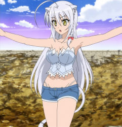 Rule 34 | 10s, 1girl, animal ears, breasts, cat ears, cat girl, cat tail, cleavage, dog days, female focus, grey hair, highres, legs, leonmitchelli galette des rois, long hair, outdoors, screencap, shorts, sky, solo, tail, thighs, yellow eyes