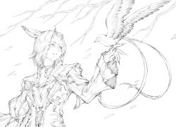 Rule 34 | 1girl, absurdres, animal ears, warrior of light (ff14), bird, bird on hand, branch, cat ears, claws, coat, commentary, commission, english commentary, facial mark, final fantasy, final fantasy xiv, g studio, greyscale, highres, long sleeves, miqo&#039;te, monochrome, solo, upper body, whisker markings