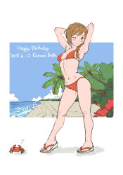 Rule 34 | 1girl, armpits, baba konomi, bikini, blush, braid, breasts, brown hair, character name, closed mouth, cloud, crab, dated, day, flat color, from side, green eyes, hair over shoulder, head tilt, heart, highres, idolmaster, idolmaster million live!, legs apart, long hair, looking at viewer, navel, ocean, one eye closed, ooeyama ken, outdoors, outside border, palm tree, parted bangs, red bikini, single braid, smile, solo, spoken heart, standing, string bikini, swimsuit, tree, wide hips